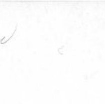 Bird & Tree Garden Club Flower Show