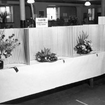 Bird & Tree Garden Club Flower Show