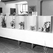 Bird & Tree Garden Club Flower Show