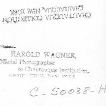 Bird & Tree Garden Club Flower Show