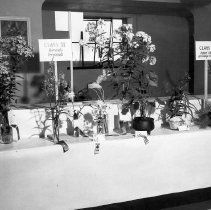 Bird & Tree Garden Club Flower Show