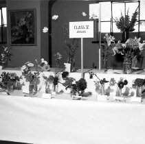 Bird & Tree Garden Club Flower Show