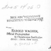 Bird & Tree Garden Club Flower Show