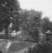 Athenaeum North Lawn