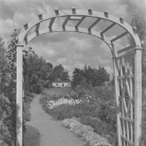 Louise Igoe Miller Garden