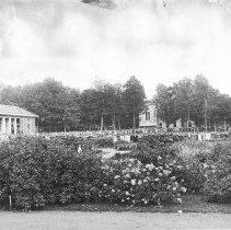 Gathering on the Plaza