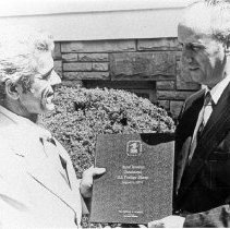 Chautauqua Postage Stamp