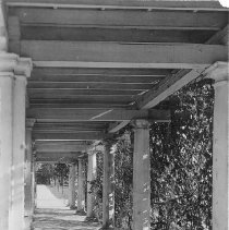 The Pergola