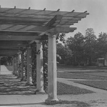 The Pergola