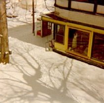 Buckets on Maple Tree