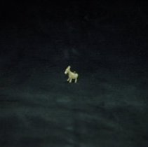 Democratic Party Donkey Figurine