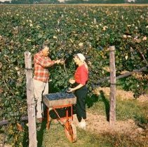 Howard C. Green Farm