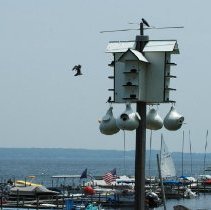 Birdhouse at Shoreline