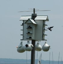 Birdhouse at Shoreline