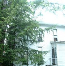 Property Record of 20 Palestine Avenue