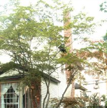 Property Record  of 26 Vincent Avenue