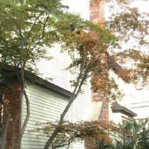 Property Record  of 26 Vincent Avenue