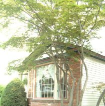 Property Record  of 26 Vincent Avenue