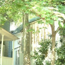 Property Record  of 27 Waugh Avenue