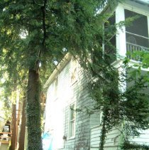 Property Record  of 21 Foster Avenue