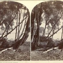 Fairpoint Landing--From Palace Hotel Grove