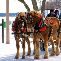 Sleigh Ride