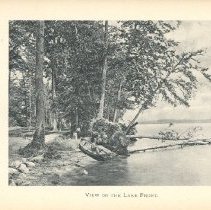 Souvenir of Lake Chautauqua