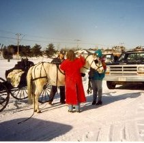 Carriages in the Snow