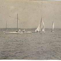 Sailboats on the Lake