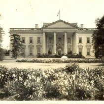 The White House