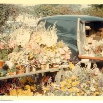 Flowers for sale at Farmers' Market