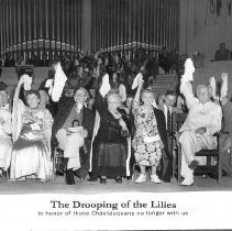 The Drooping of the Lilies