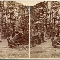 Rustic Bridge in Grove at Chautauqua