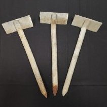 Arboretum Tree Markers