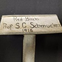 Arboretum Tree Markers