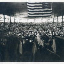 Bestor Leading Drooping of the Lillies