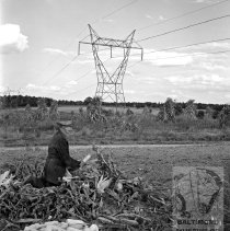 Farmer in a field near a power