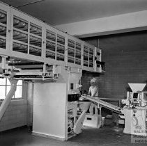 Army Cooks at Fort Meade