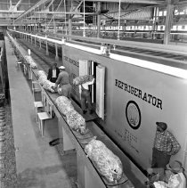 Workers loading bananas