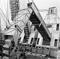 Unloading Bananas from a ship