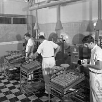 workers at Amer Doughnut Corp