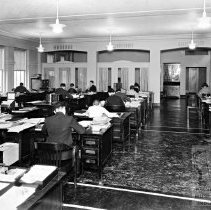 Workers at Mackubin Legg