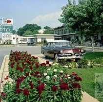 Duke's Motel Parking Lot