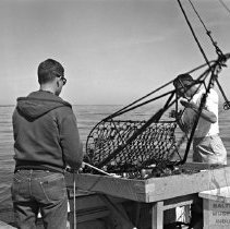 Marine Biology Survey