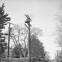 Rogers Ave at Greenspring Ave