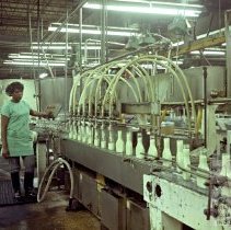 Bottling Line at Dosse Foods