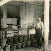 Vagetable Canning factory