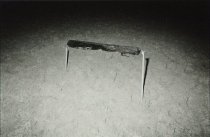 Log Supported By Two Poles, San Francisco (Canadian Portfolio)