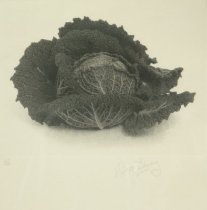 Cabbage (From the Nourriture Series)
