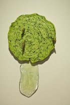 Letter to Jasper Johns